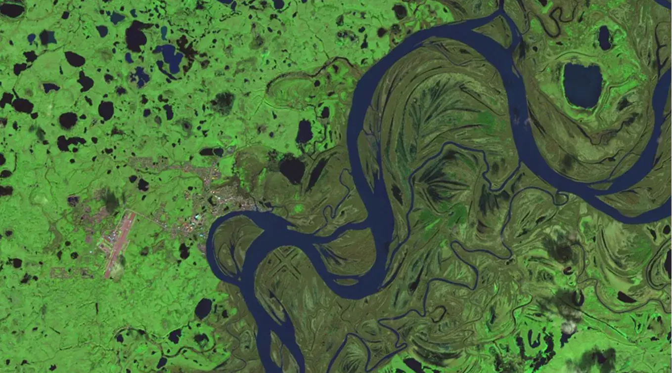 False-color satellite view of a meandering river and its floodplain, with vegetation in bright green and standing water in dark blue.