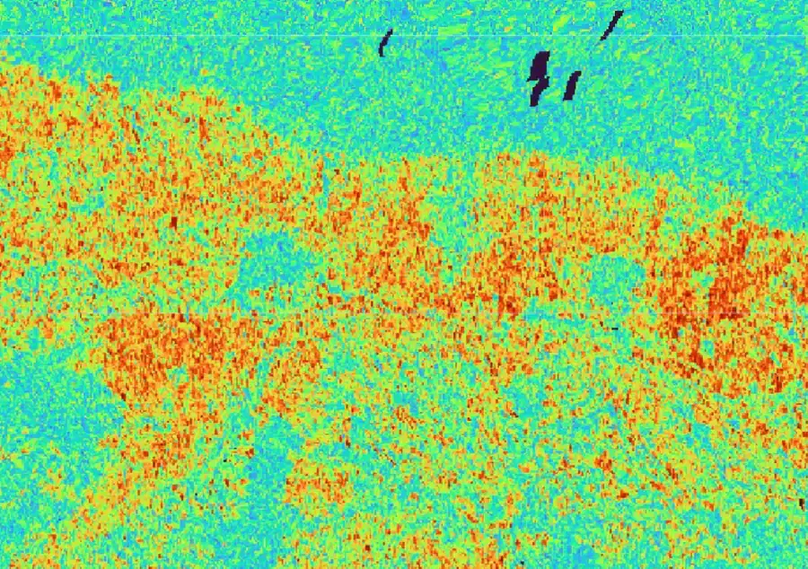 OPERA DISP-S1 interferometric coherence imagery