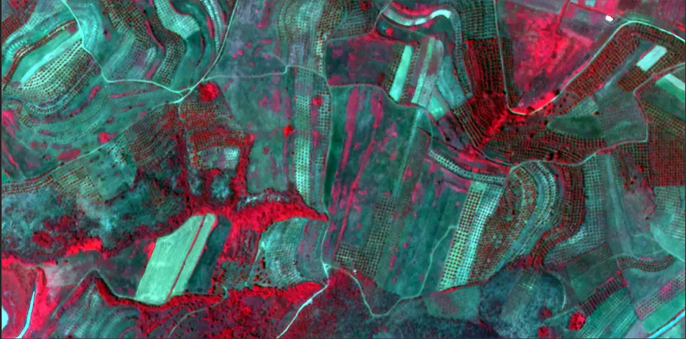Satellogic satellite image of a dam and reservoir with surrounding roads, buildings, and vegetation