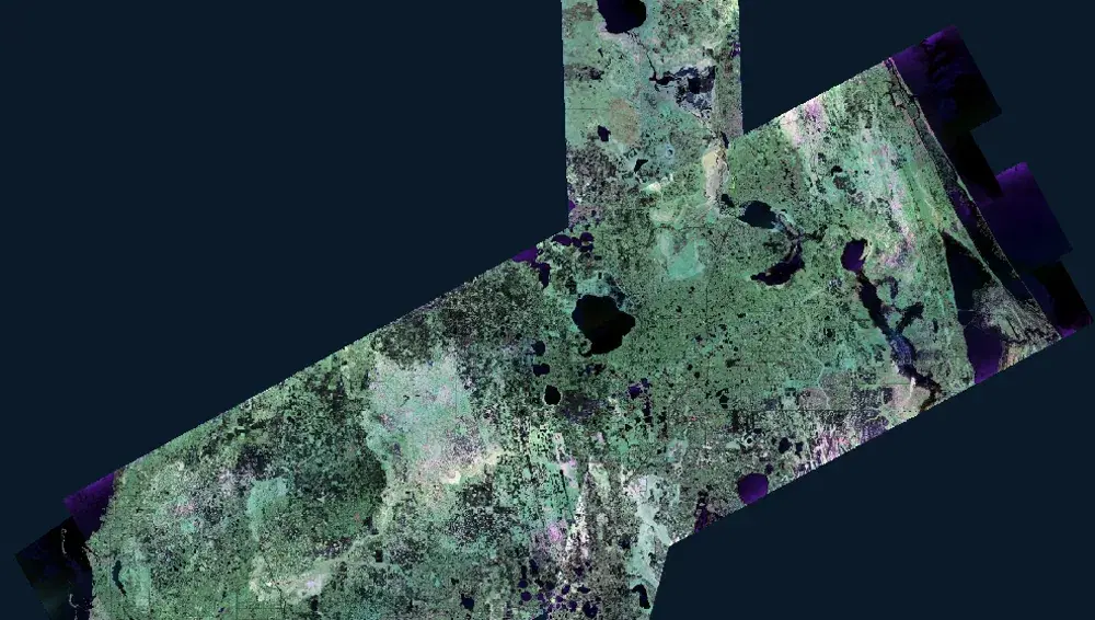 UAVSAR false color polarimetric radar swaths over central Florida collected October 14, 2024, with vegetation in green, inundated vegetation in pink, and smooth surfaces and open water in black