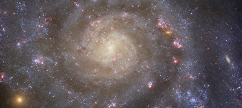 This glittering Hubble Space Telescope image shows the spiral galaxy IC 5332.