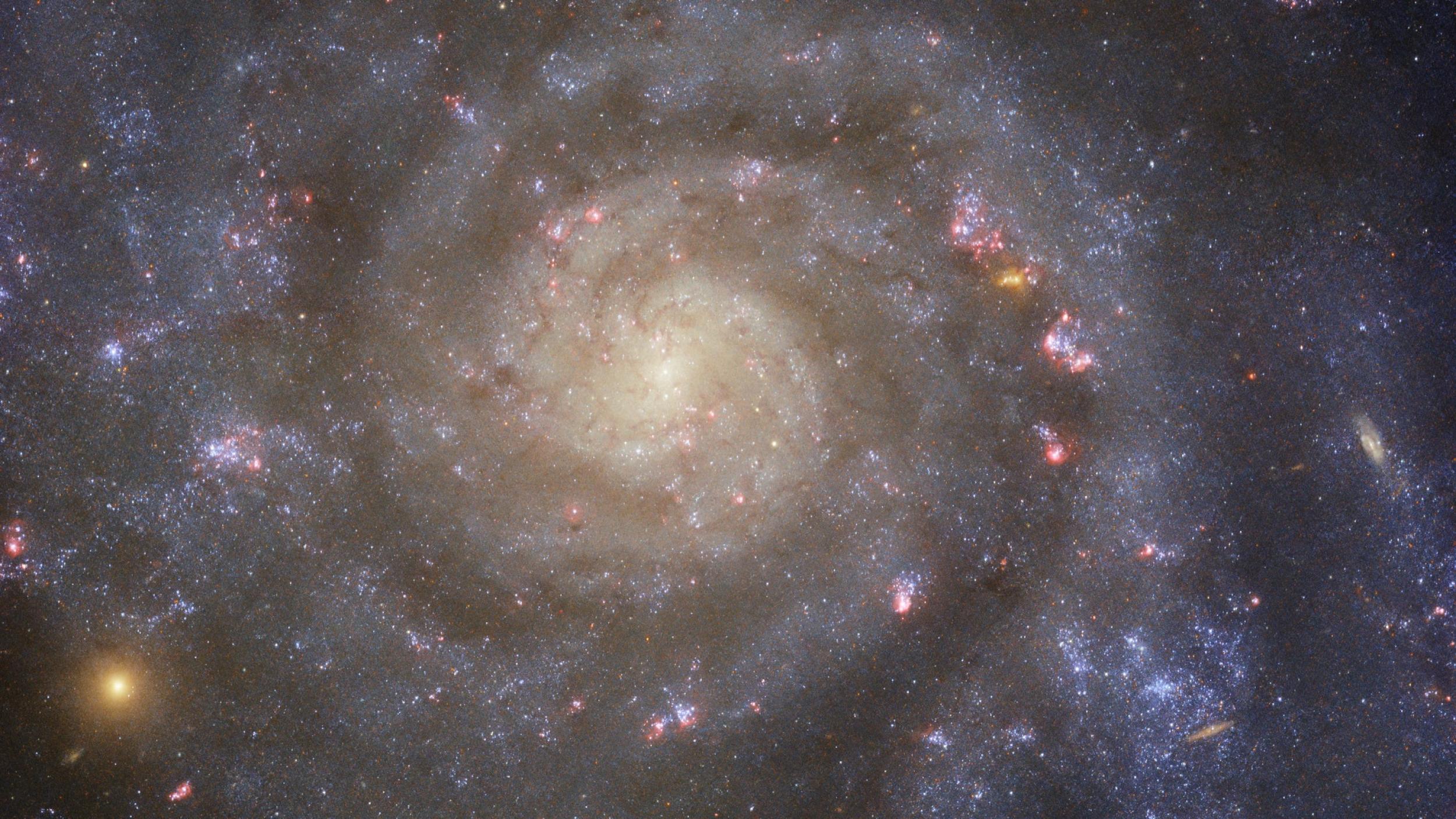 This glittering Hubble Space Telescope image shows the spiral galaxy IC 5332.