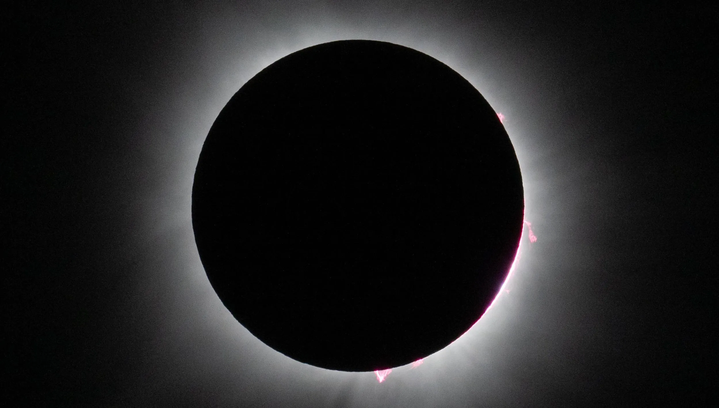 The 2024 total solar eclipse with pink solar prominences visible on the edge of the disk.