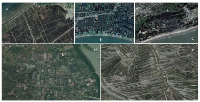 Five Maxar satellite images of shrimp aquaculture ponds in South Asia: Binh Tri in Vietnam, Chanthaburi in Thailand, Dong Nai in Vietnam, Surat Thani in Thailand, and Cau Mau in Vietnam.