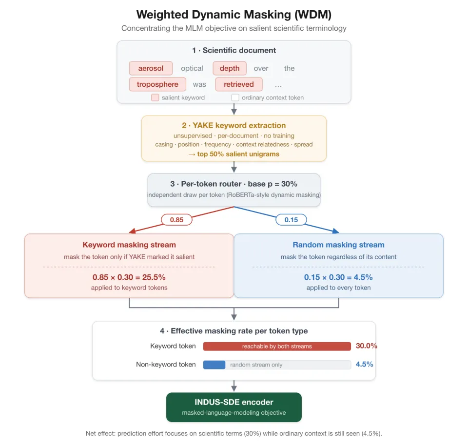 Diagram illustrating the 4-step Weighted Dynamic Masking (WDM) process, showing how scientific terms receive a 30% masking rate compared to a 4.5% rate for ordinary tokens before entering the INDUS-SDE encoder.